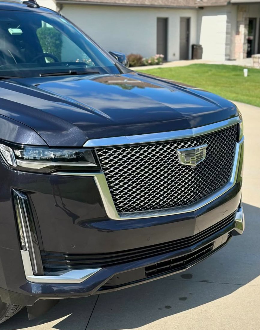 Close-up of polished grille and hood